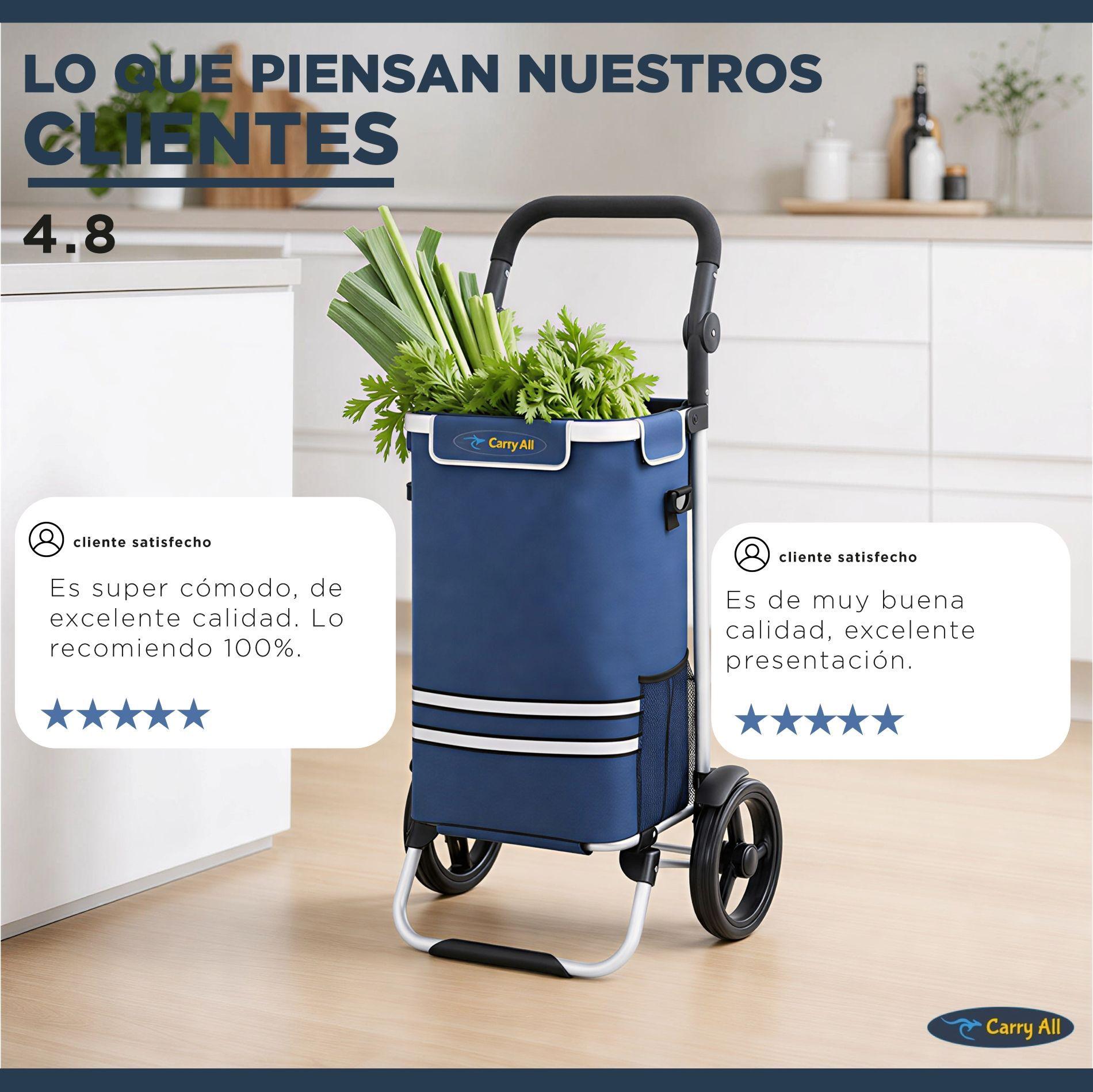 Carrito de Compras Plegable Supermercado o Feria + Bolso Cooler Blue-7
