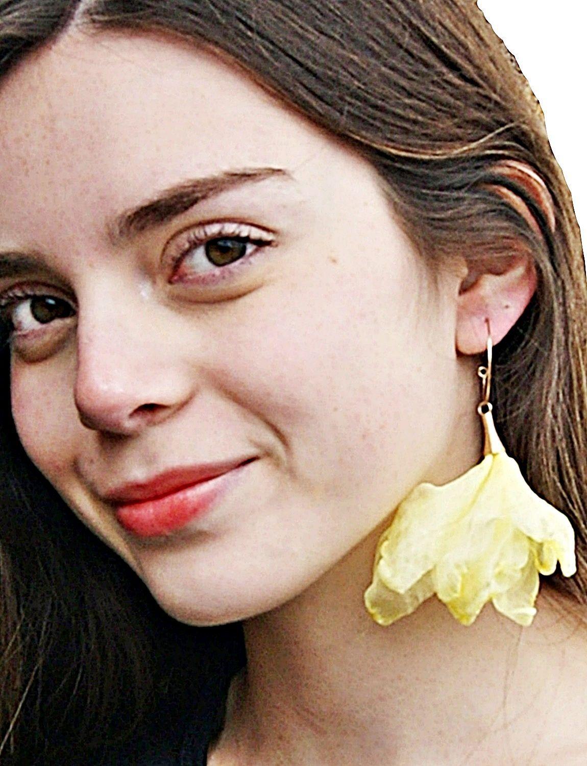 Aros Acero Cisne Amarillo Viva Felicia-2