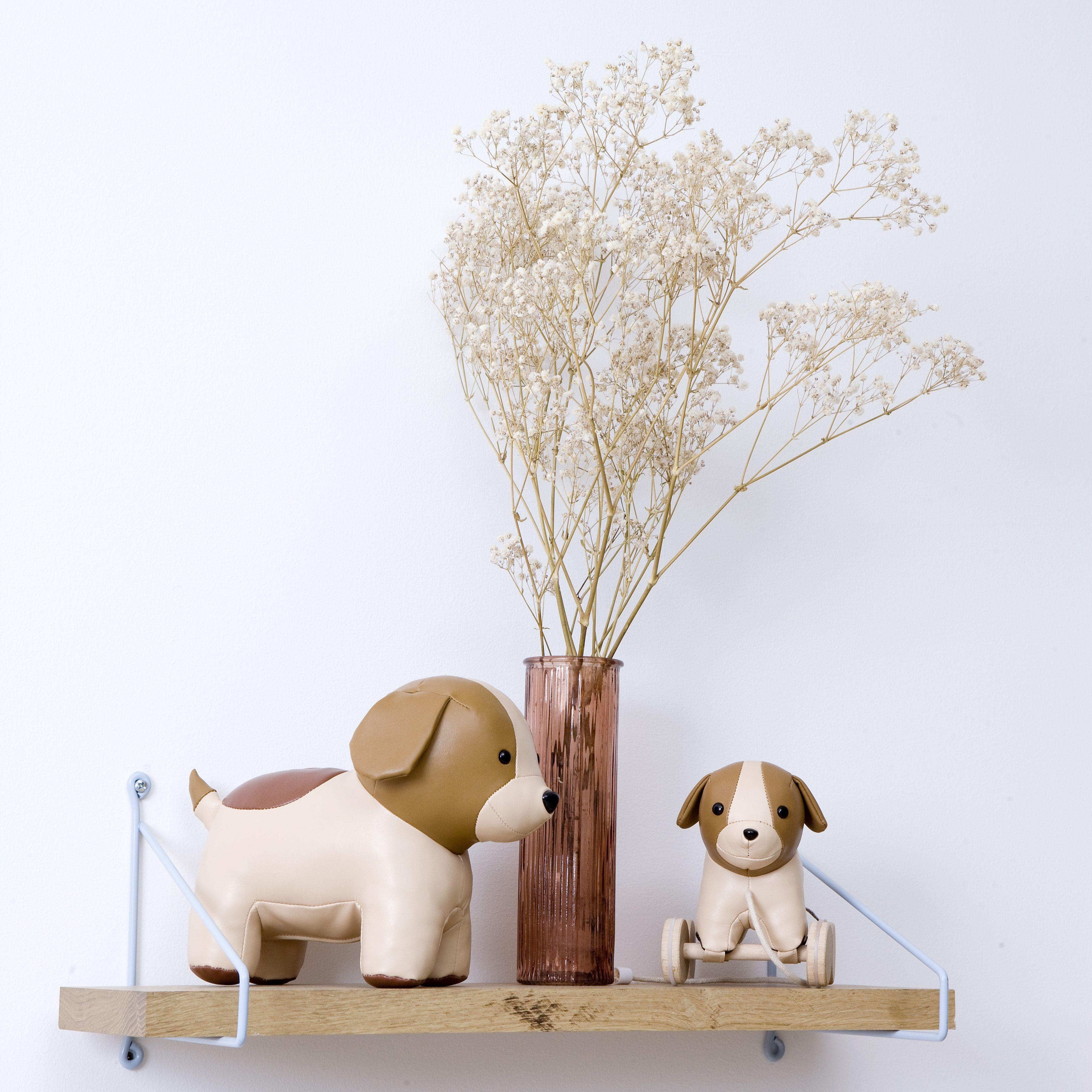 Adrien El Perro - Animales Musicales-3