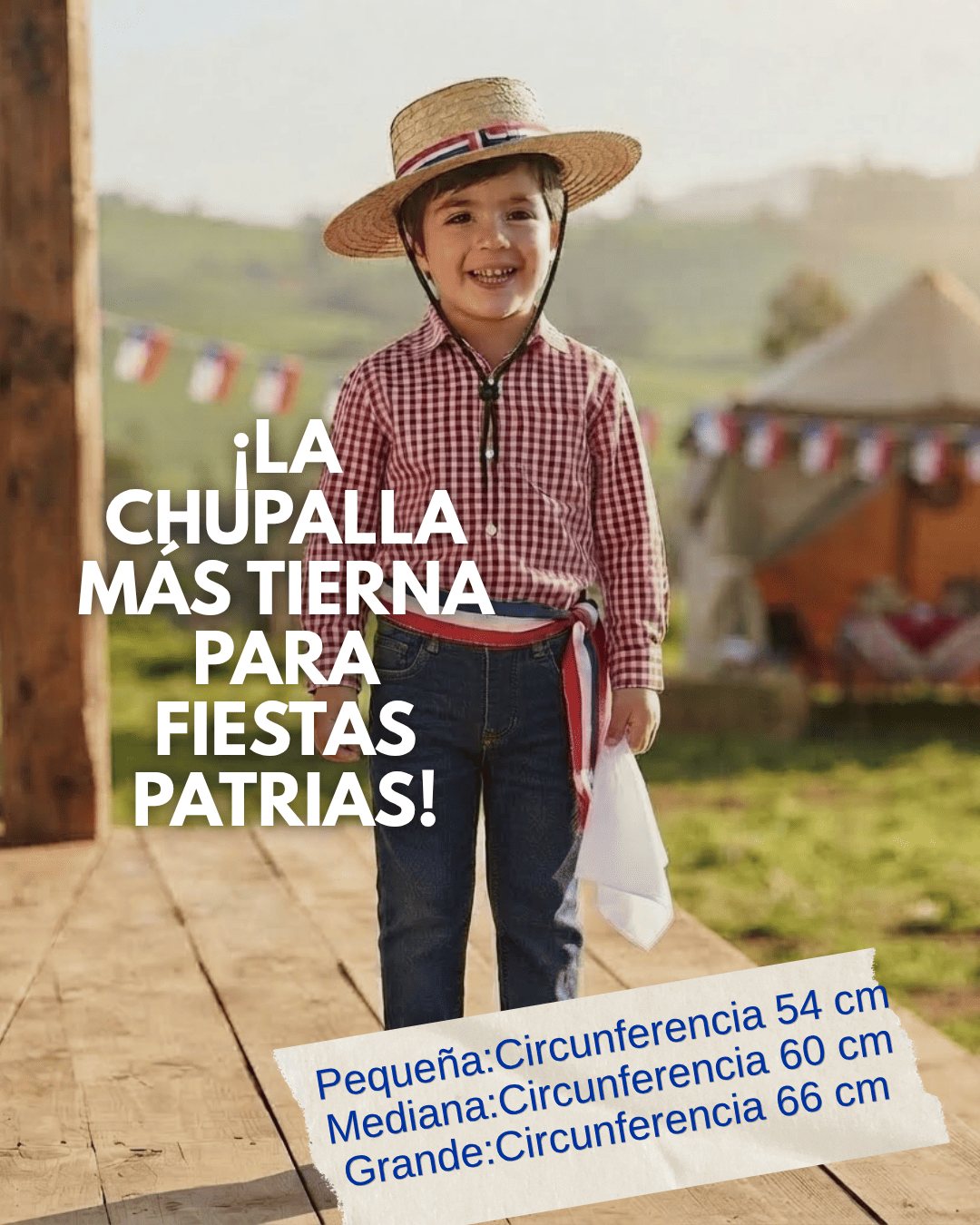 Chupalla Ni o Huaso Paja Fietas Patrias-1