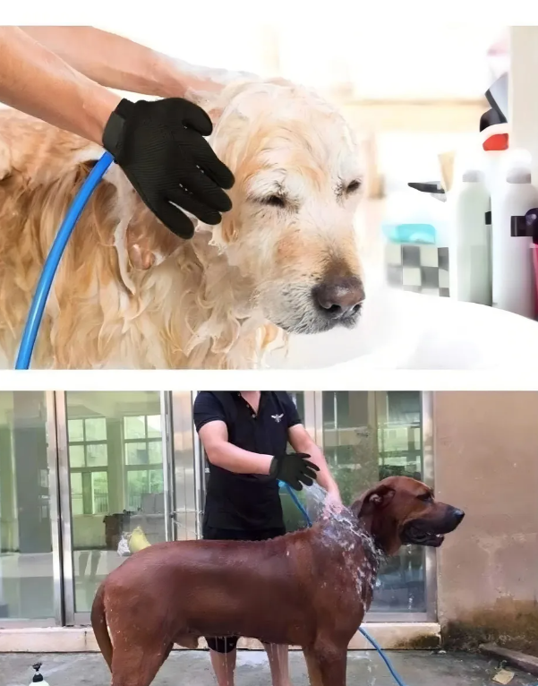 Guante Ducha Masajeador 2 En 1 Para Mascotas Con Manguera-2