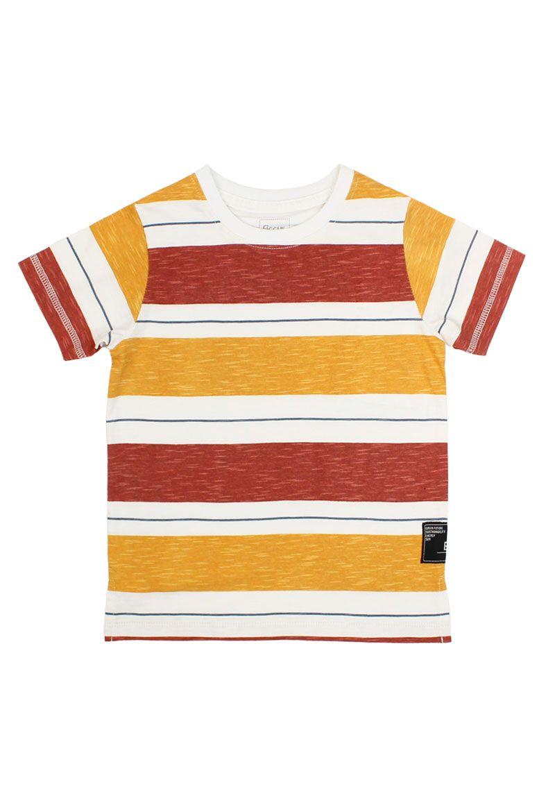 Polera kids niño listada earth 231-0