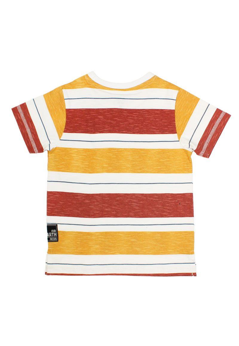 Polera kids niño listada earth 231-1