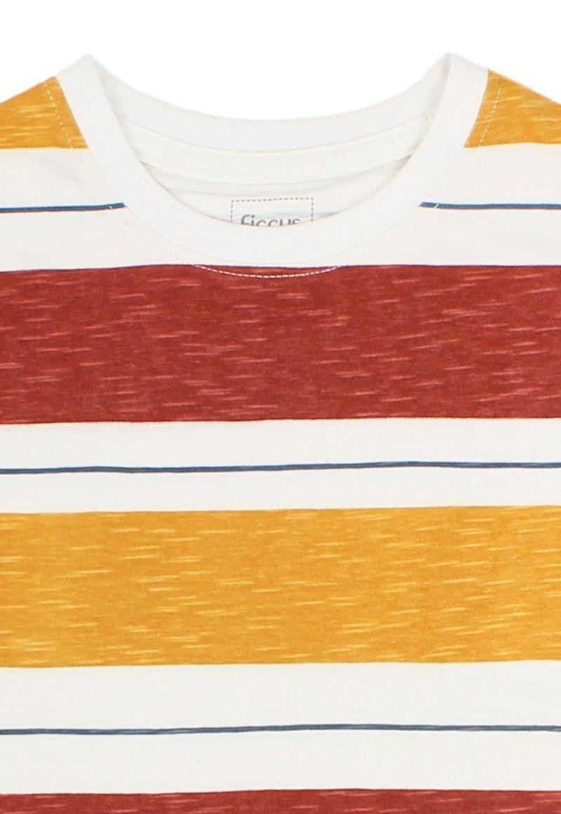 Polera kids niño listada earth 231-2