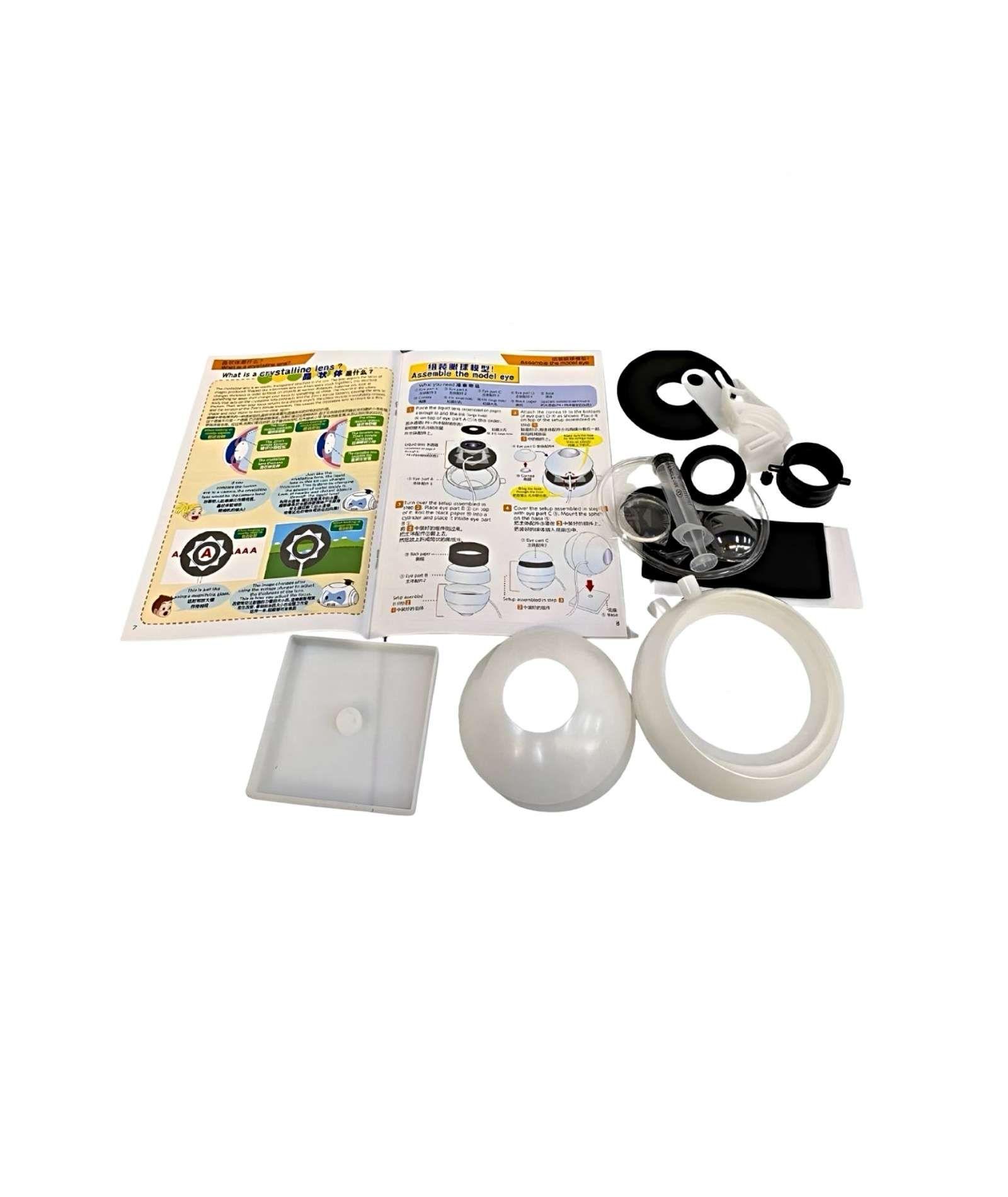 JUEGO ANATOMIA DEL OJO HUMANO EDUCATIVO-2