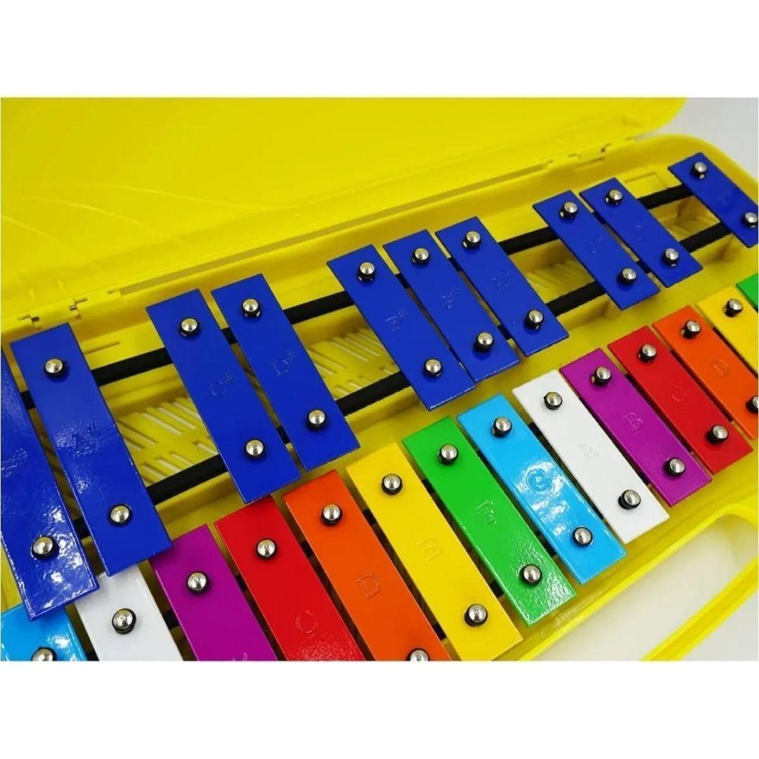 Metalofono Cromático 25 Notas Infantil Escolar Hendrix-2