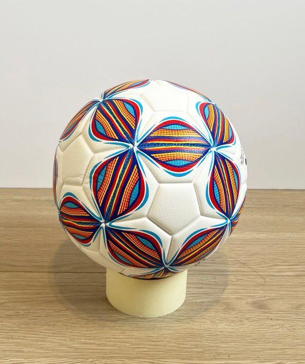 Balón de Futbol Profesional -1
