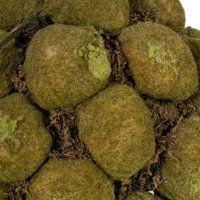 Esfera Mini Mugos - 17x17cm-1