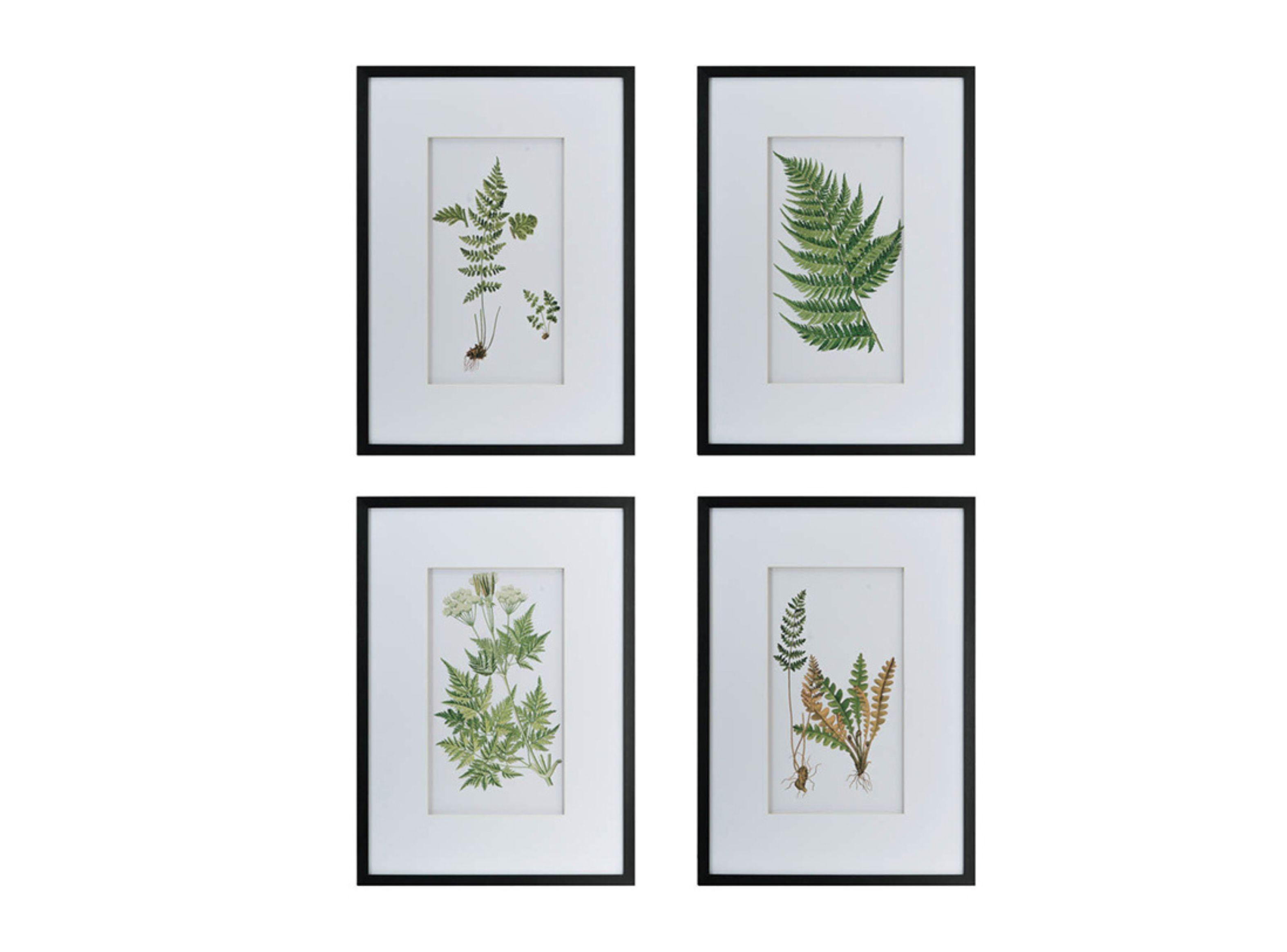 Cuadro Hojas Verdes (50x70)-1