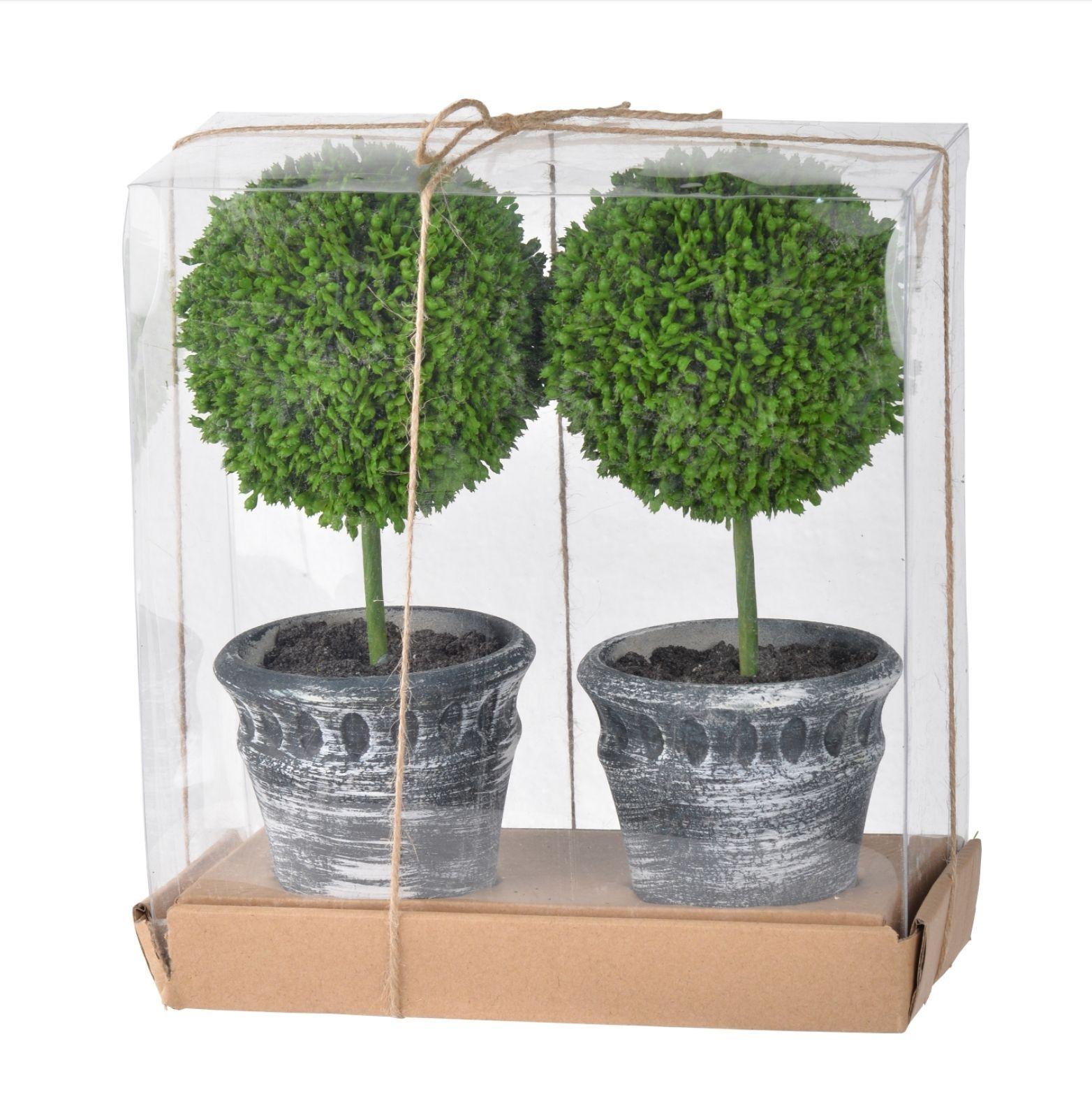 Topiary Grey Set - artificial 24x10cm-0