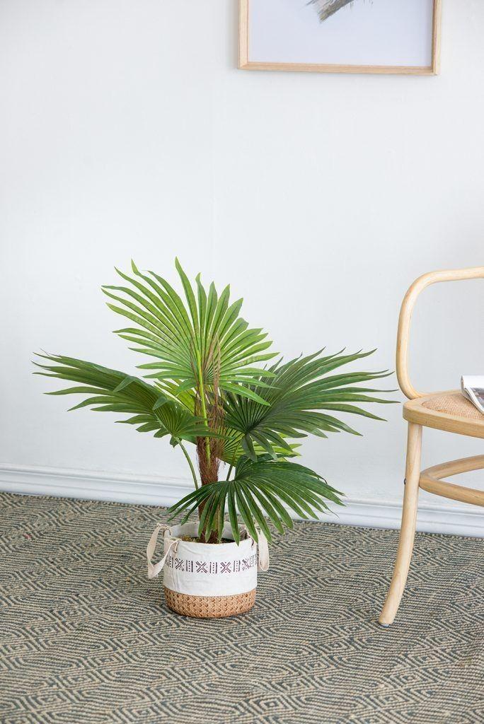 Palmera Chilena M - artificial 80x50cm-3