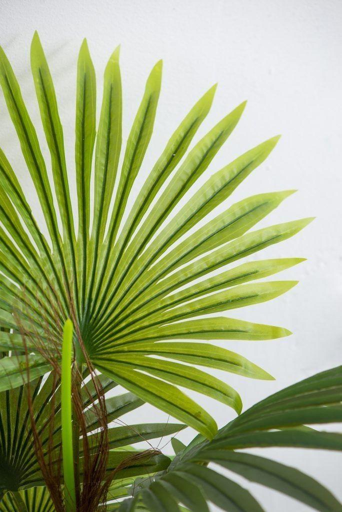Palmera Chilena M - artificial 80x50cm-2