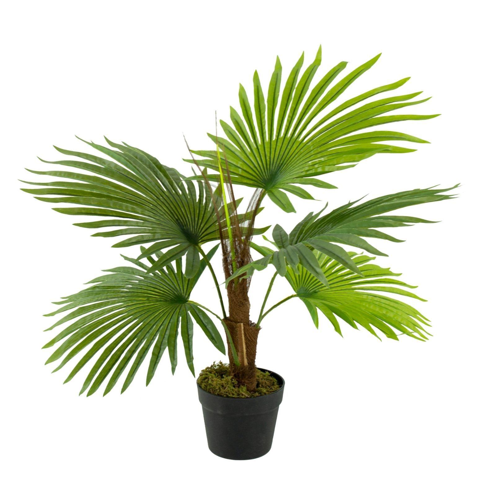 Palmera Chilena M - artificial 80x50cm-0