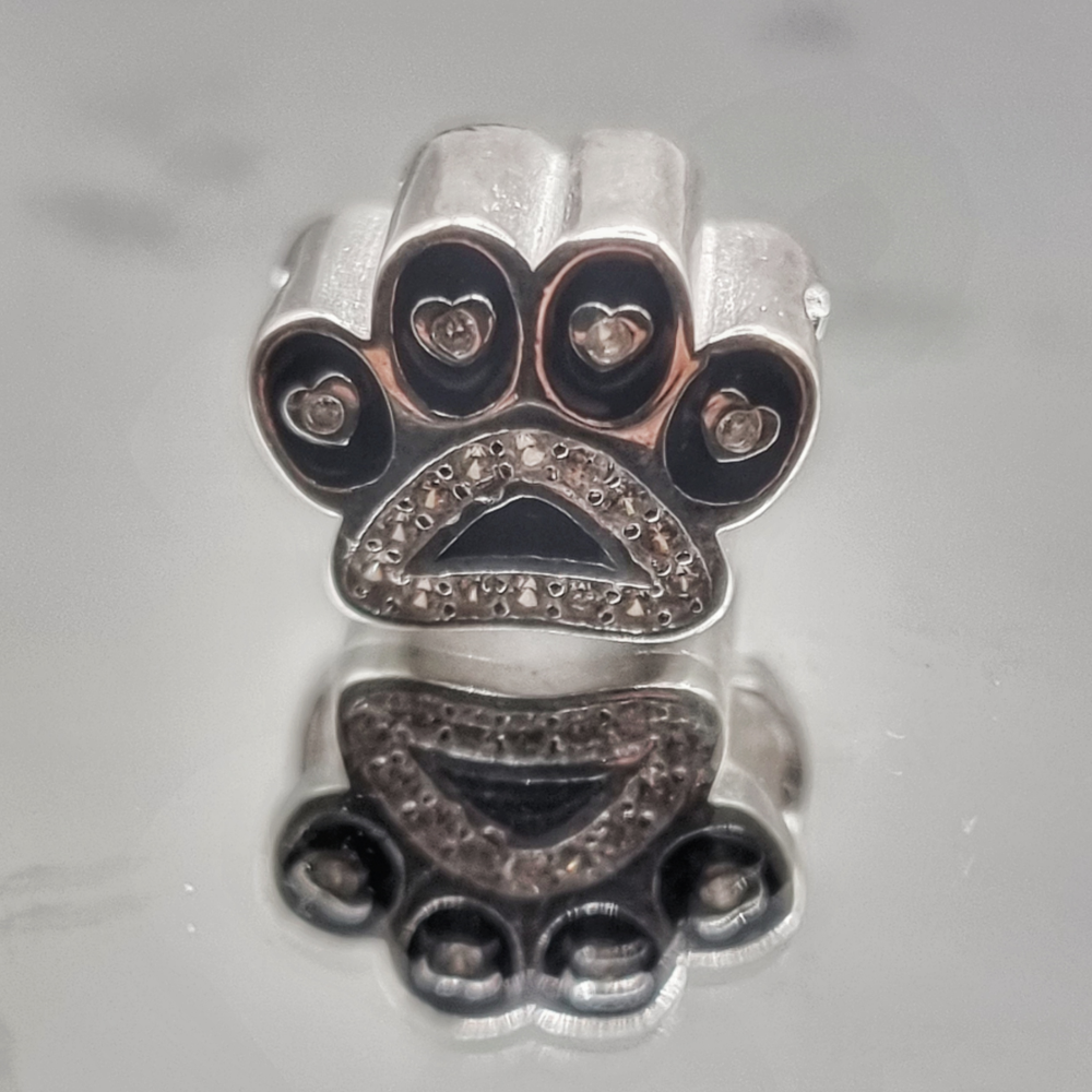 Charm Patita con Circones en Plata 925 -2