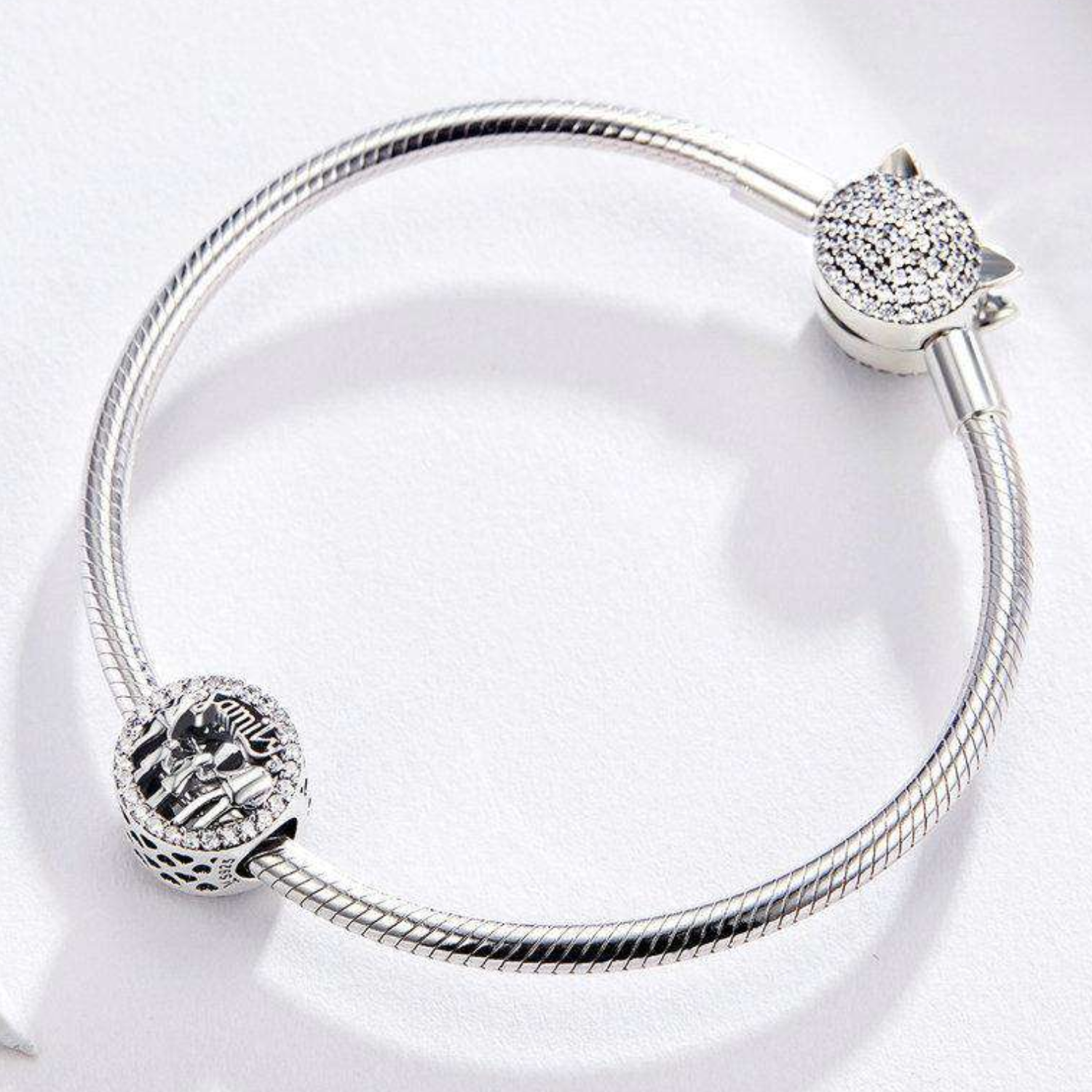 Charm Familia en Plata 925 con Circones Brillantes  -2