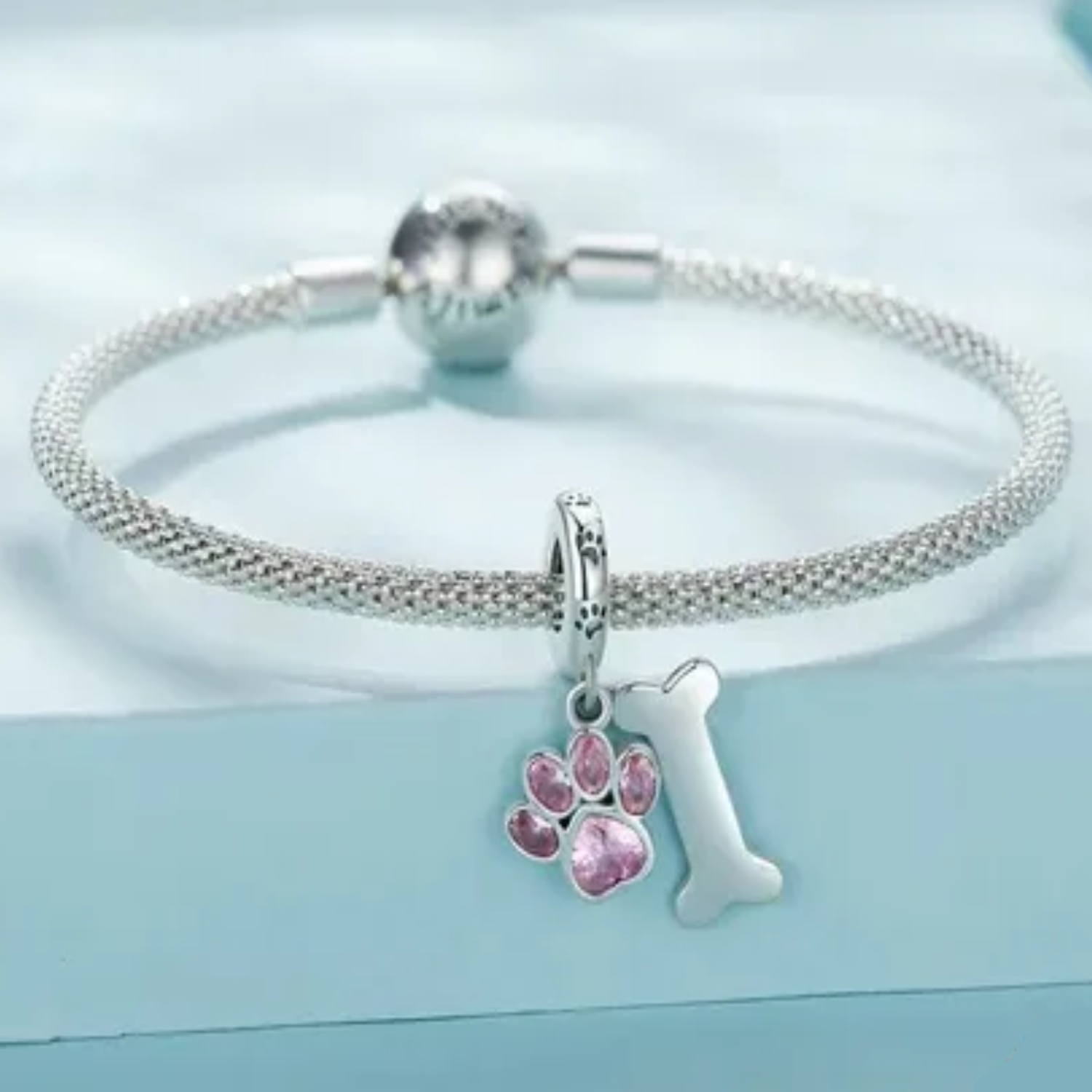 Charm Dije Perrito Huellita con Huesito en Plata 925-2