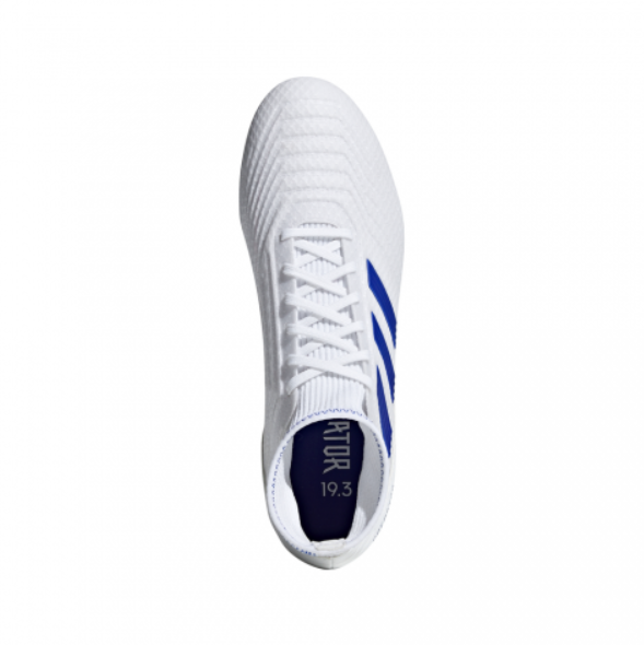 ZAPATOS fútbol ADIDAS Predator 19.3 FG BB9333-2