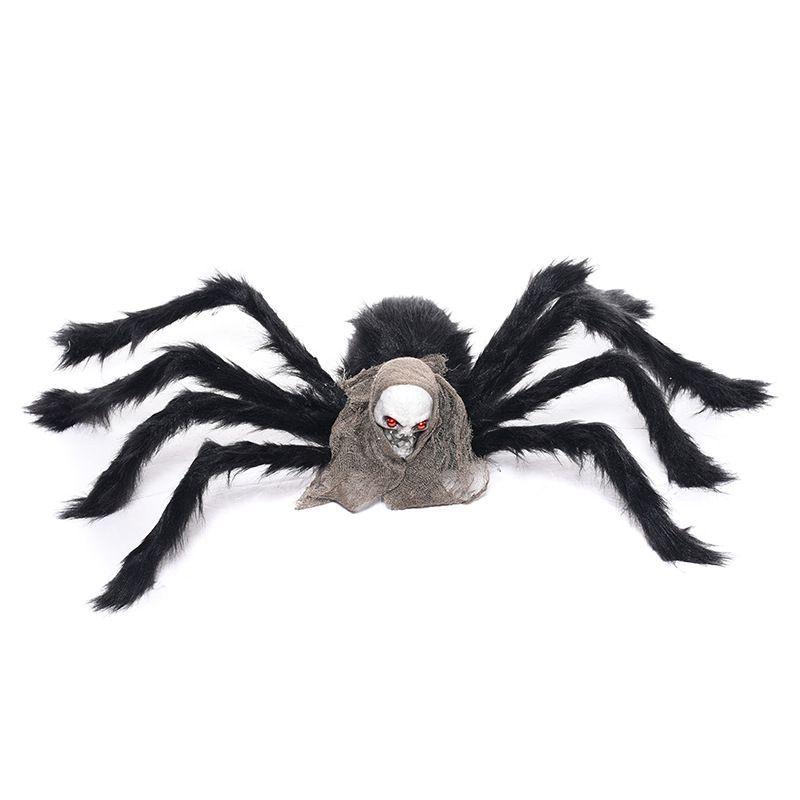 Araña con Cabeza de Calavera-0