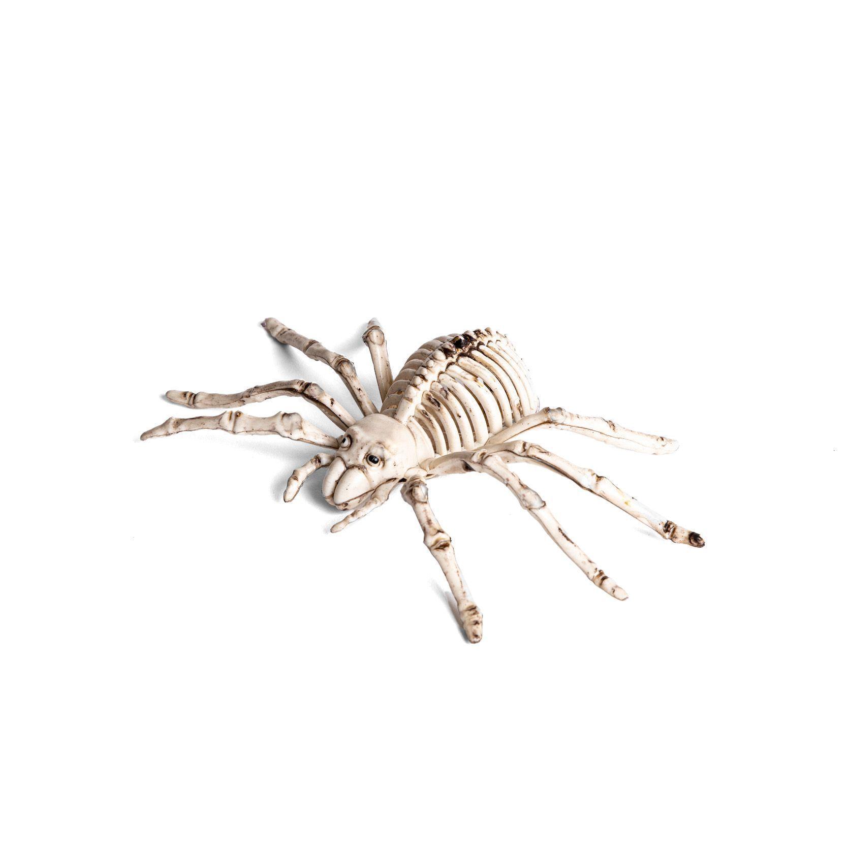 Esqueleto Araña Halloween Frank & Mortis-0