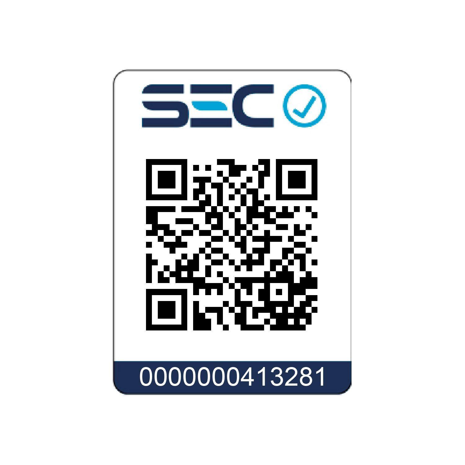 Campana Piramidal decorativa Inox 60 cm 3 Velocidades-7