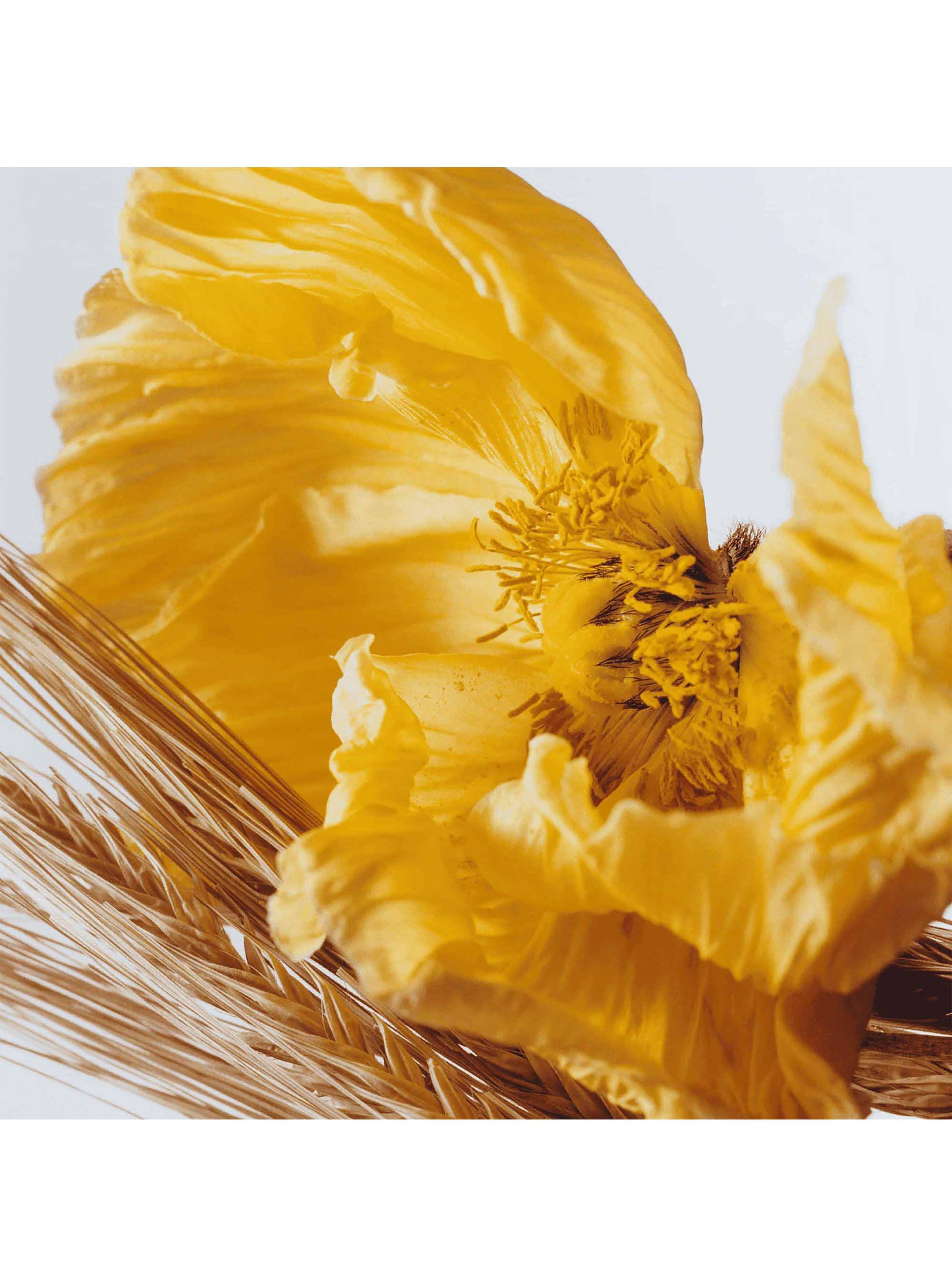 Cologne Poppy & Barley 100ml-1