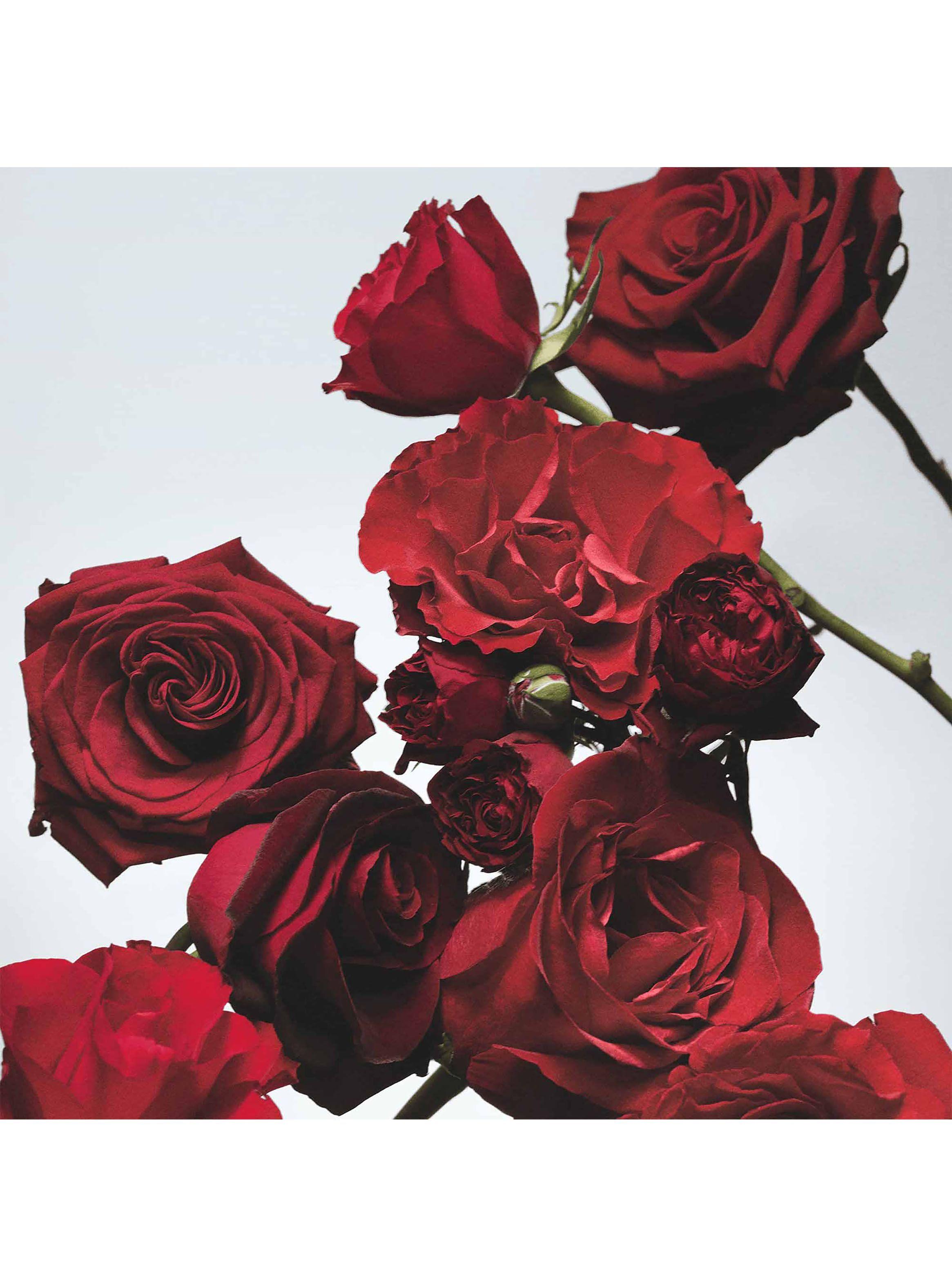 Cologne Red Roses 100ml-1