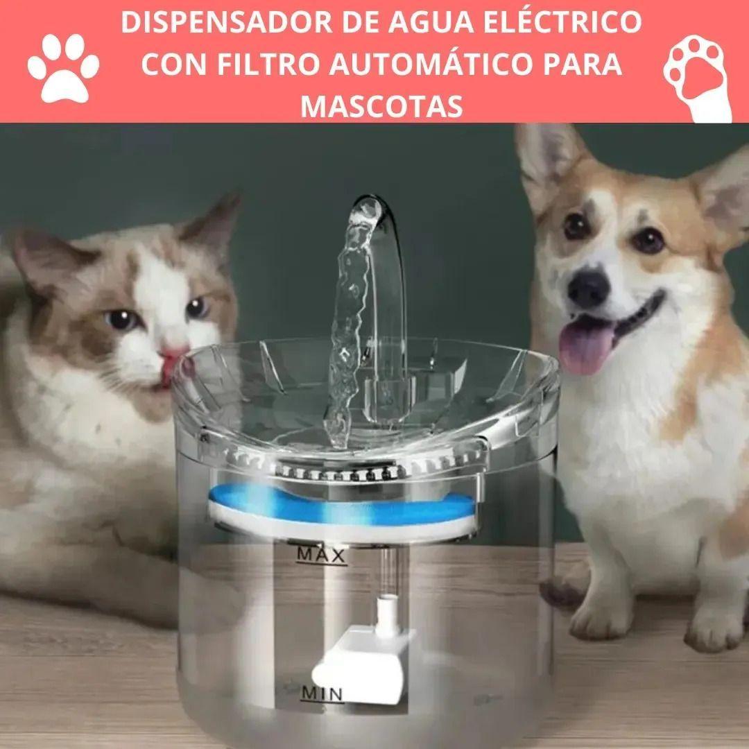 Bebedero Dispensador Agua Automatico Gatos Perros-1