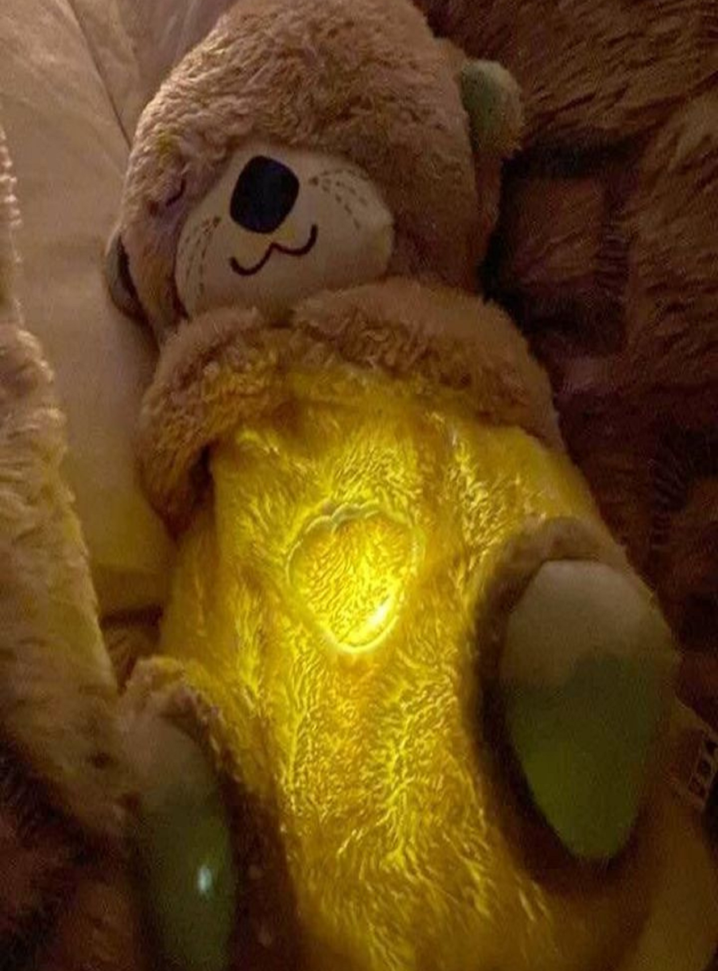 Nutria Peluche De Apego Con Respiracion Y luz-4