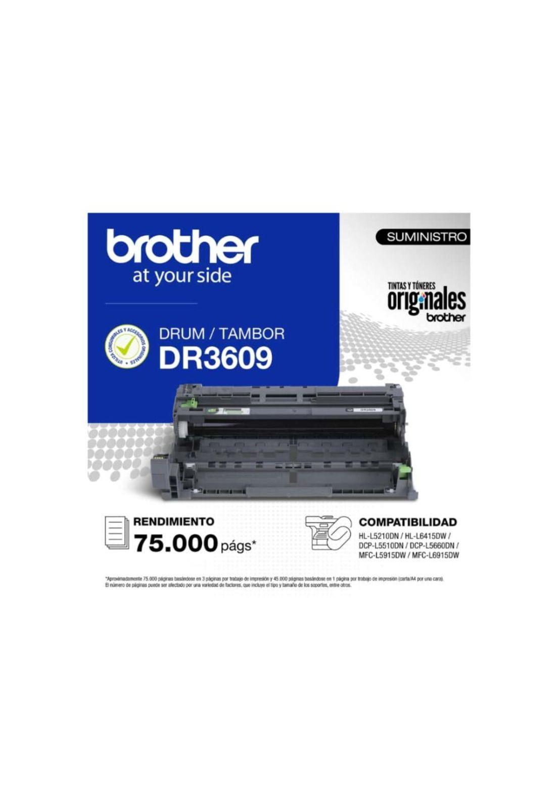 Drum dr-3609 brother-0