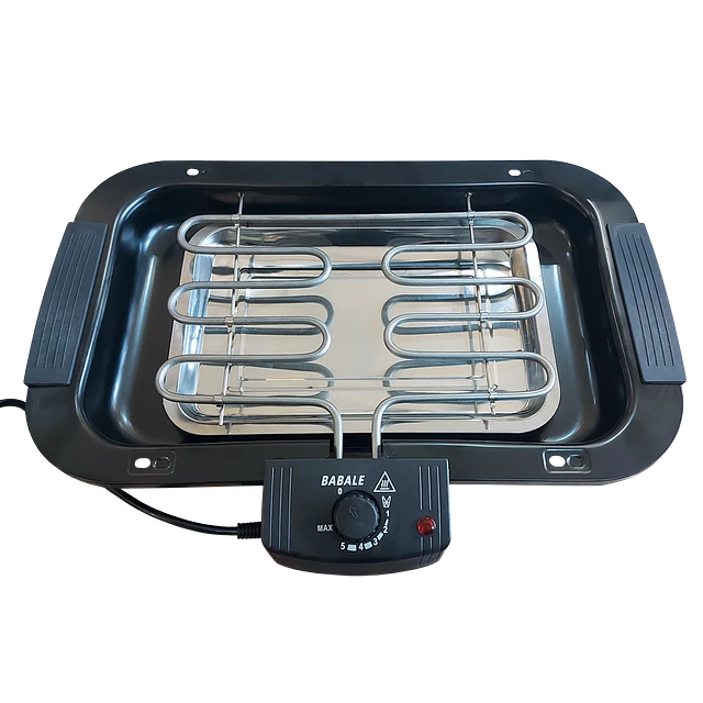 Parrilla Eléctrica Desmontable con Rejilla Ajustable 2000W-3
