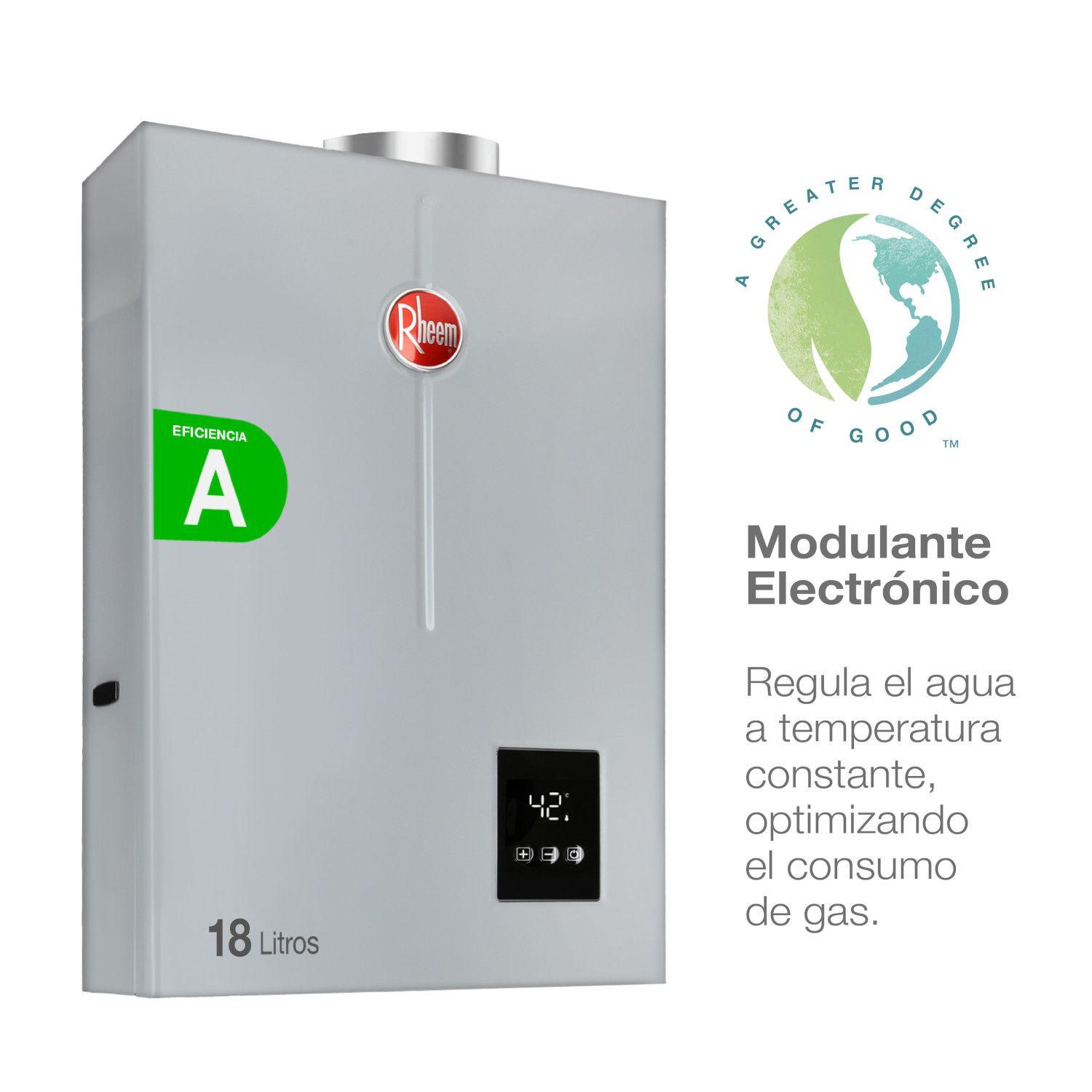 Calefont 18 litros Gas licuado Tiro forzado Rheem-3
