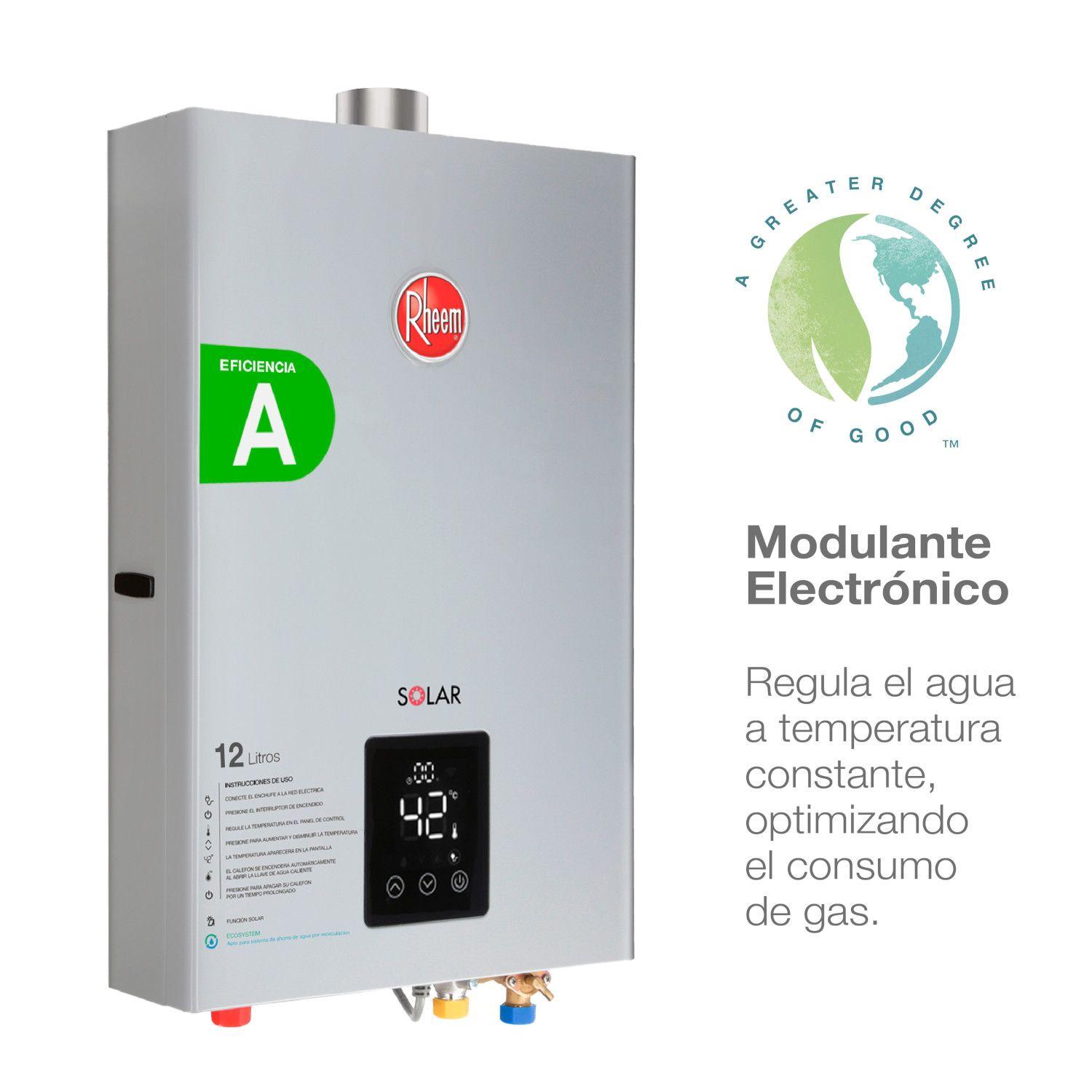 Calefont 12 litros Gas natural Tiro forzado Rheem-3