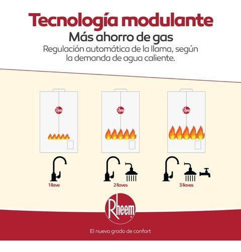 Calefont 14 Litros Gas Natural Tiro Forzado Ionizado Rheem -7