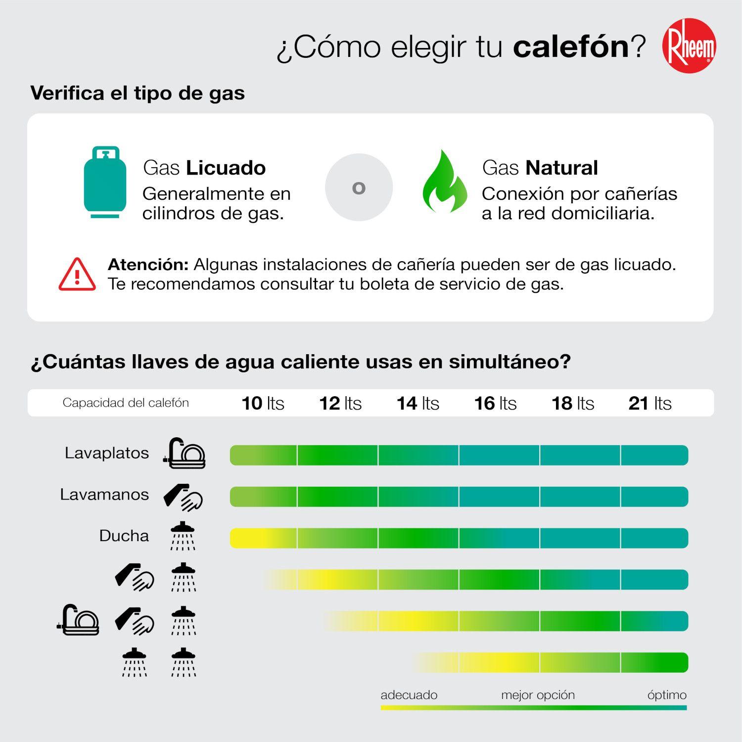 Calefont 21 litros Gas licuado Tiro forzado Rheem-4