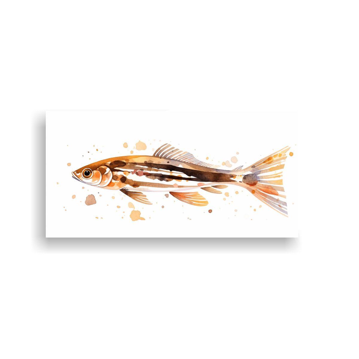 Pintura Acuarela Zebrafish En Estilo Galería 100x50cm-0