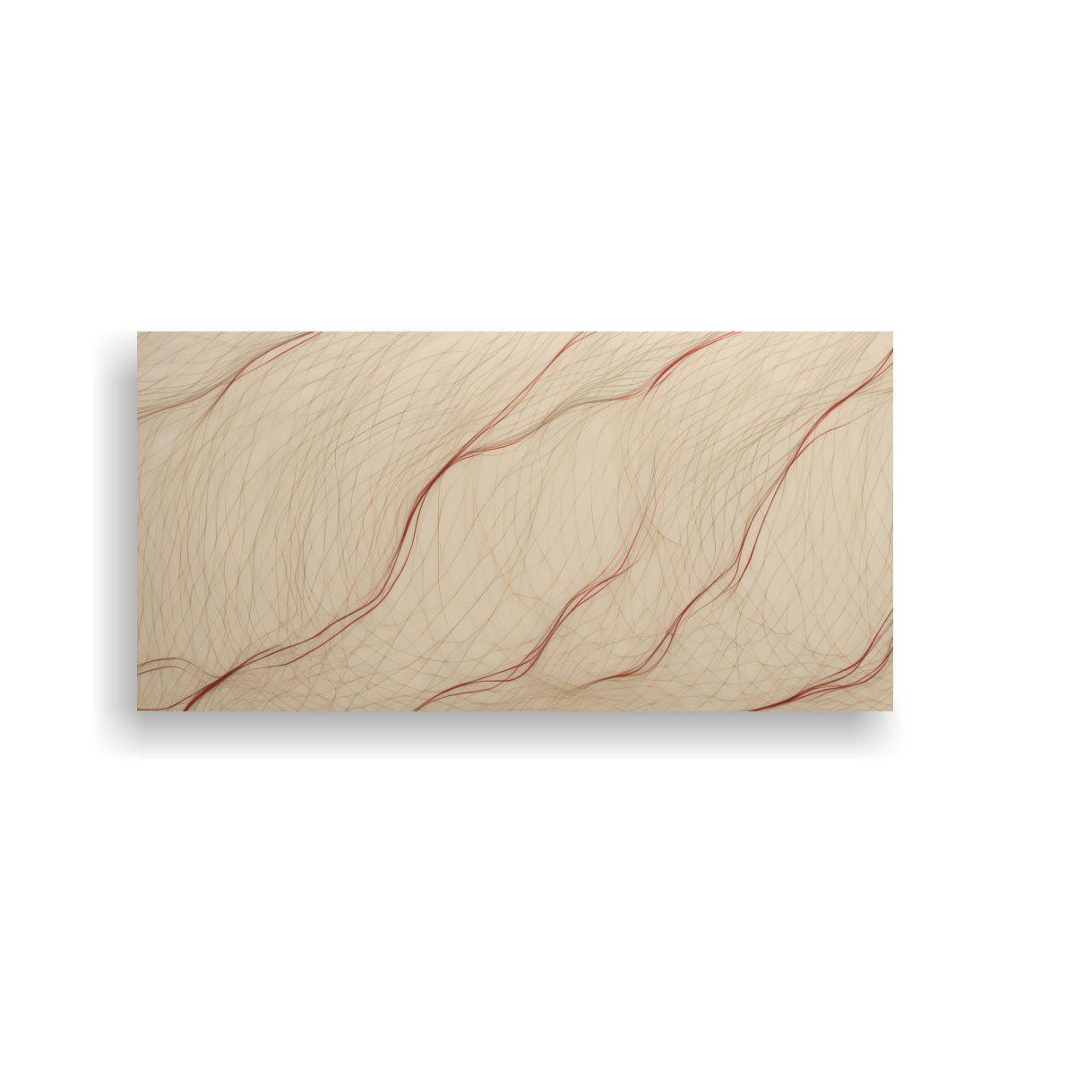 Colección De Líneas Rojas Delgadas Formando Un 60x30 Cm-0