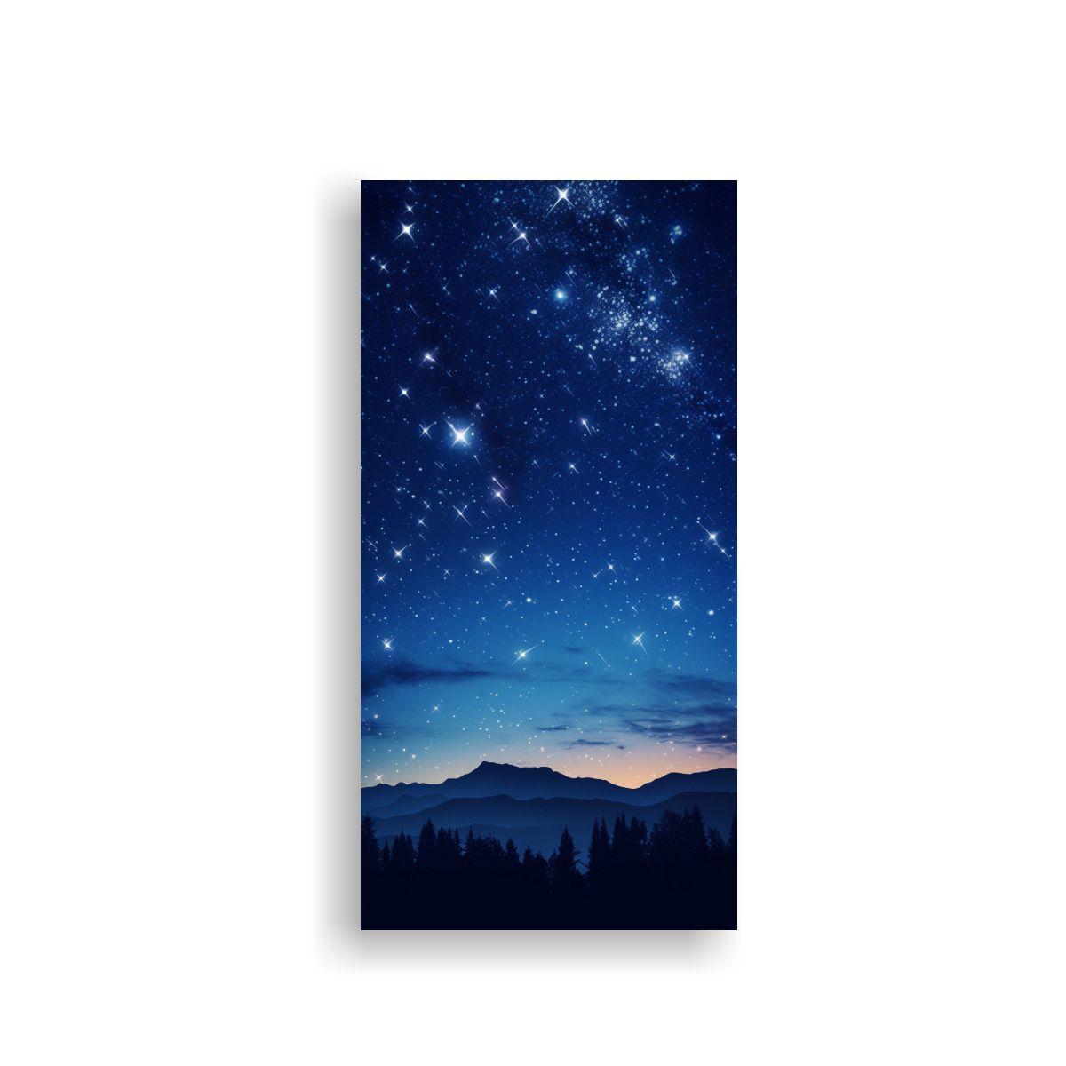 Lienzo Decorativo Meteorito Estrellado 20x40cm-0