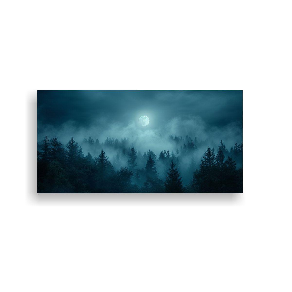 Cuadro Bosque Nocturno Encantador Con Niebla 80x40cm-0