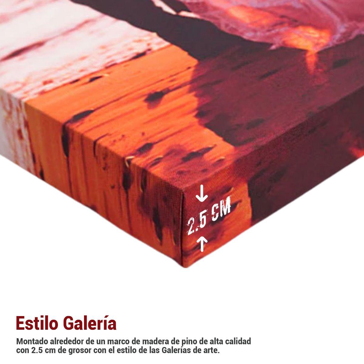 Cuadro Impreso Simplicidad Nebulosa Globo 40x60cm-3