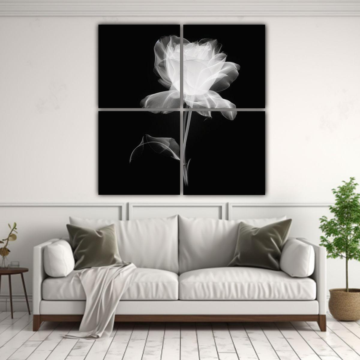 Cuadro Acuarela De Rosa Fotografía De Rayos X 4 40x40 Cm-2