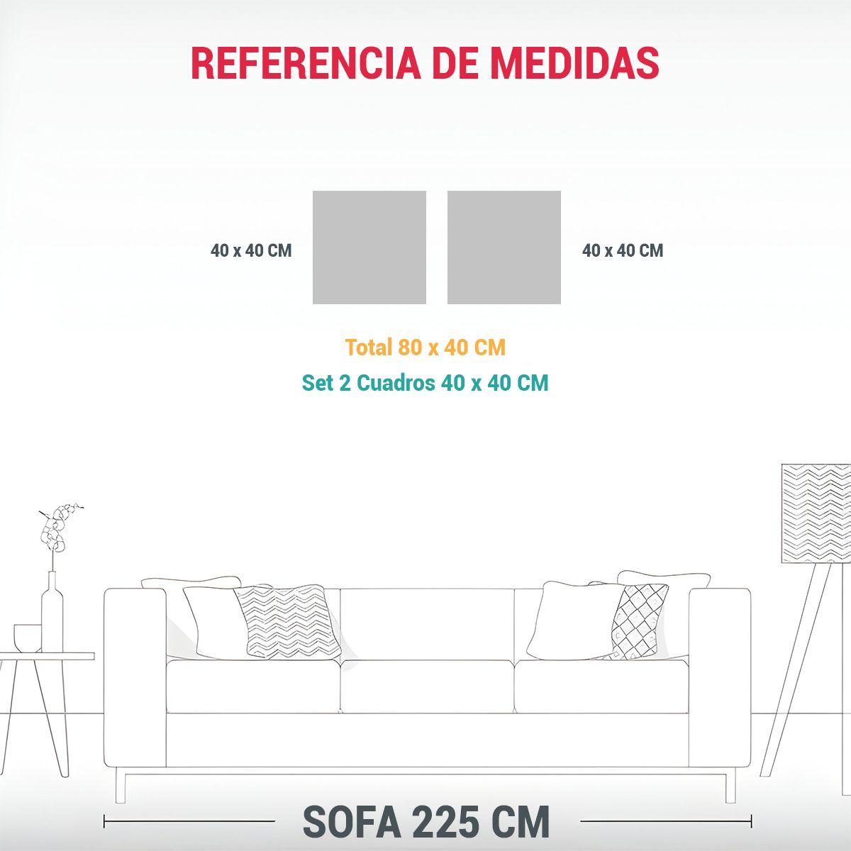 Cuadro De Decoración Intenso Con Estilo 80x40 Cm-1