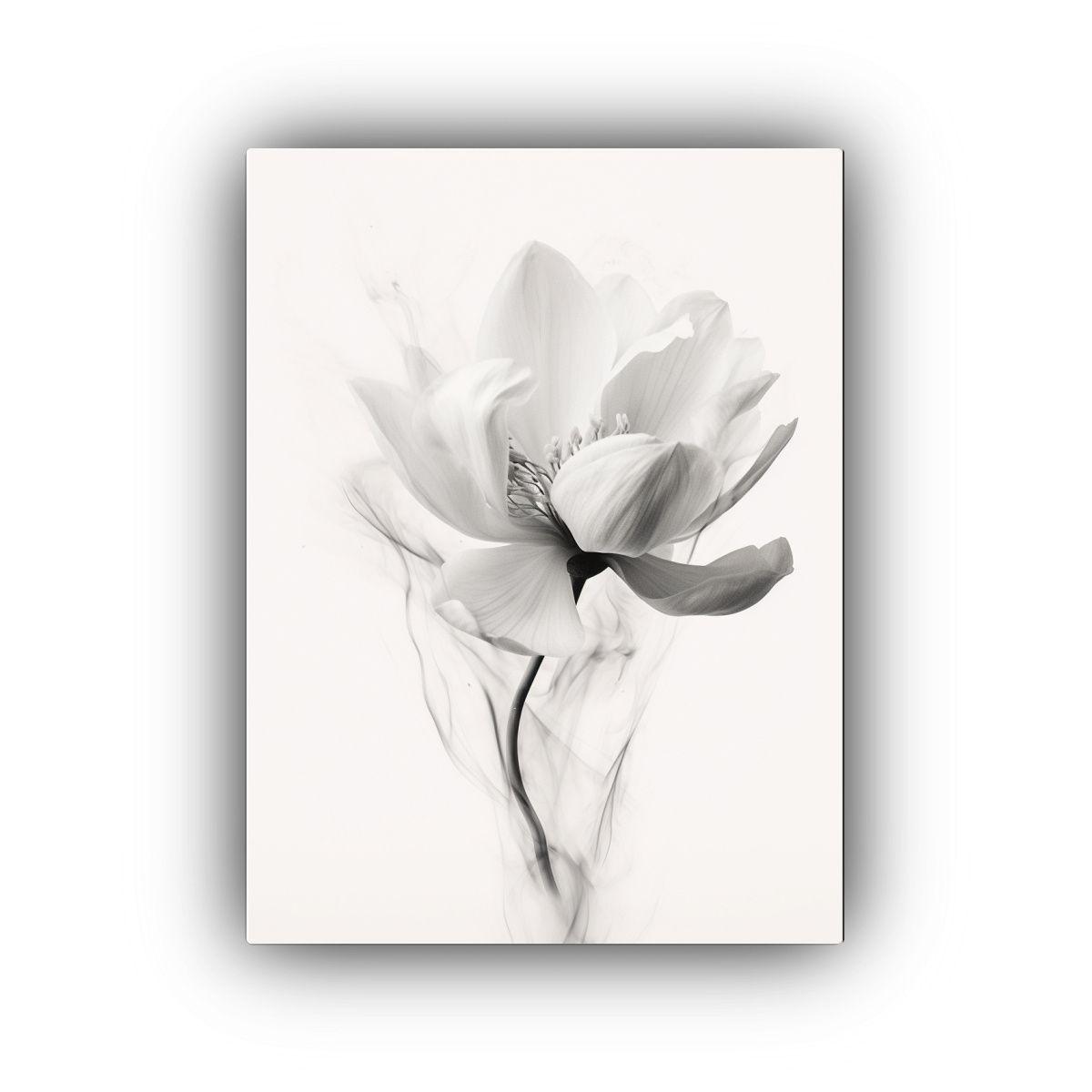 Pintura Decorativa De Magnolia En Blanco Y Negro 40x50 Cm-0