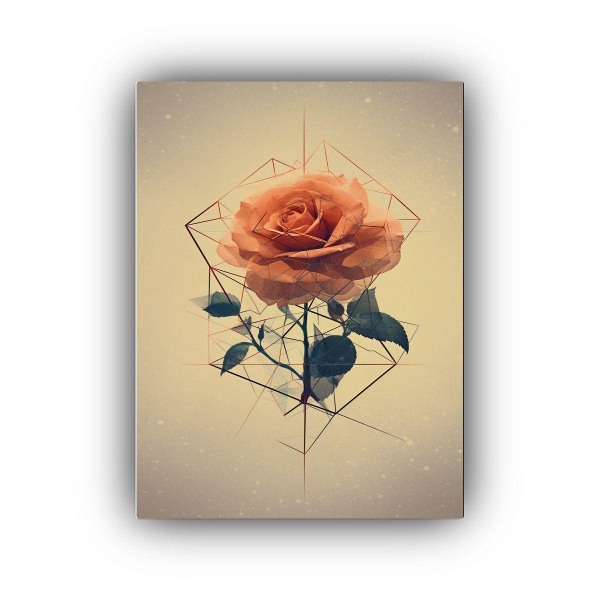 Arte Tema Dimensiones Con Rosas Abstractas En 40x60cm-0