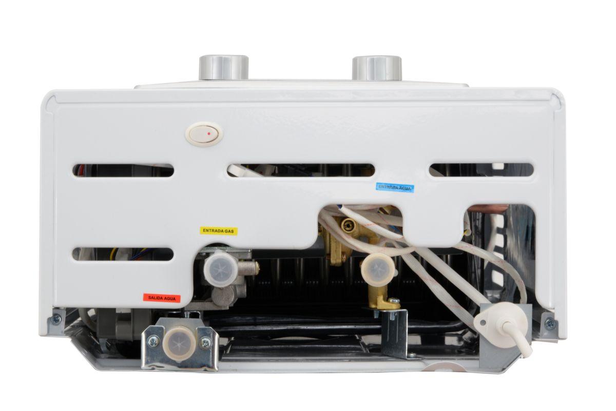 Calefont Tiro Forzado 10 L Gas Licuado Albin Trotter-5