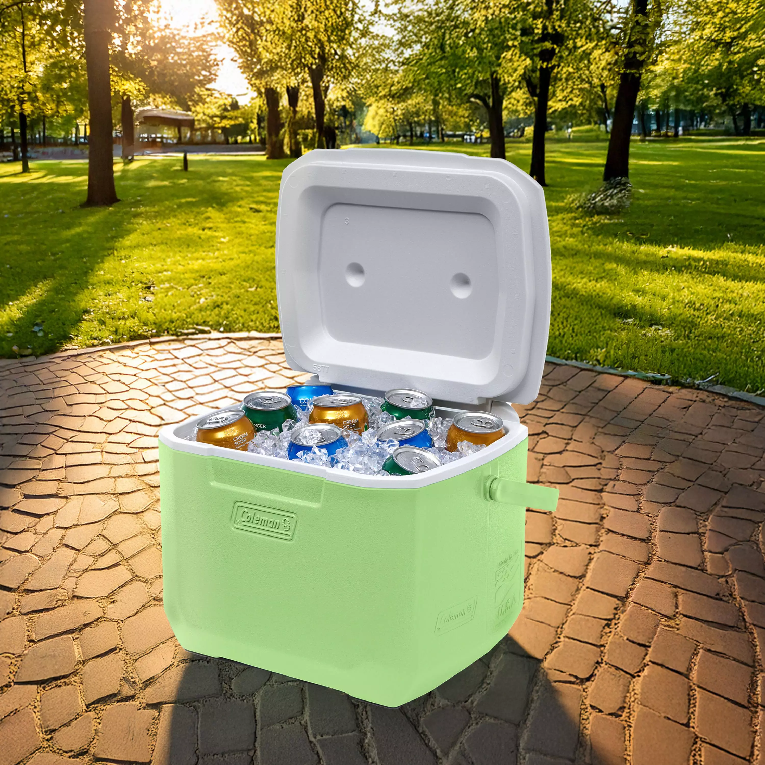 Cooler Coleman Chiller Verde 15 Lt / 16 QT-9