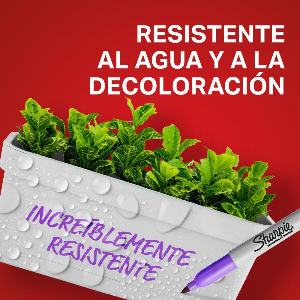 Set 8 Marcadores Punta Fina Sharpie Colores Básico-5