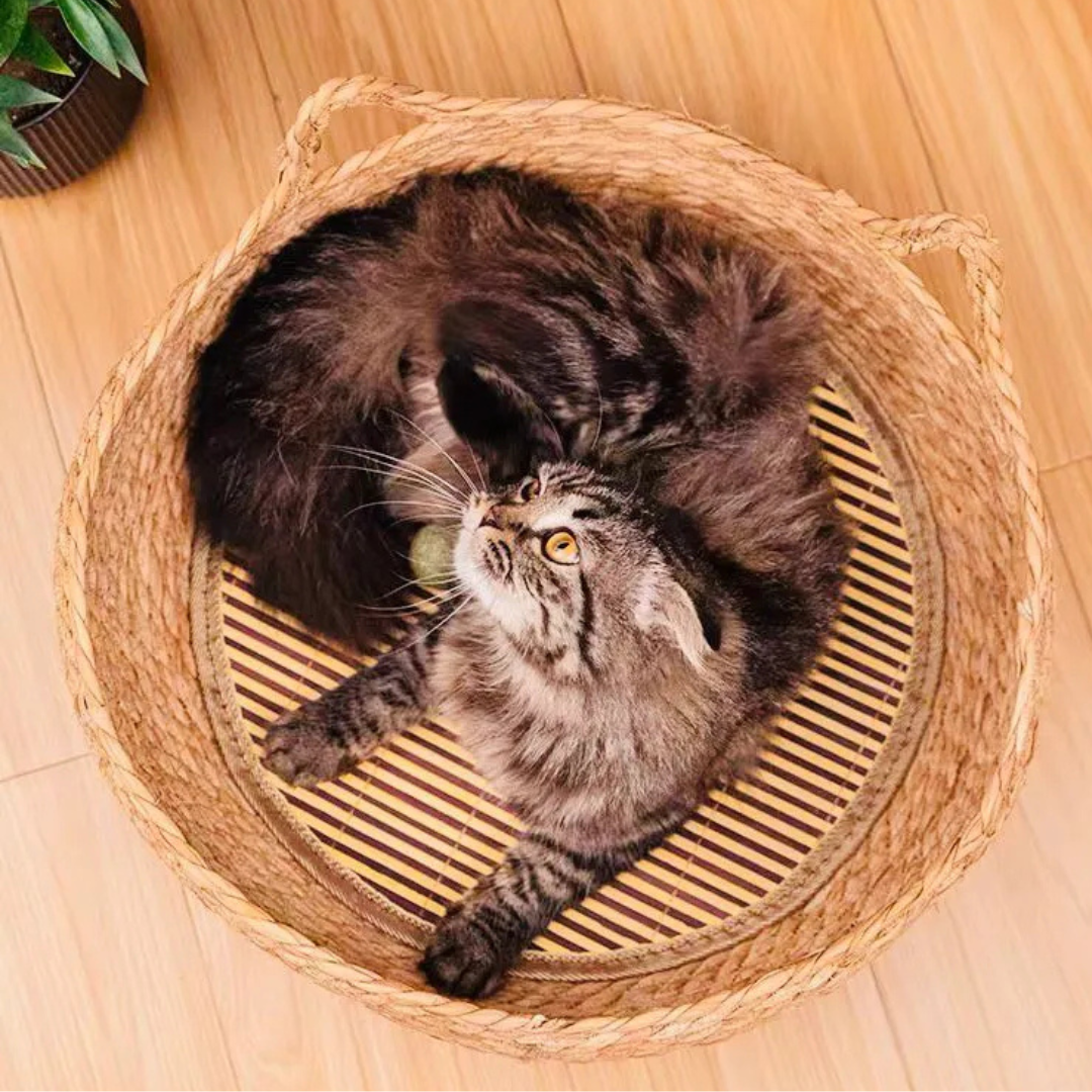 Cama Para Perro Y Gato Suave De Ratan-5