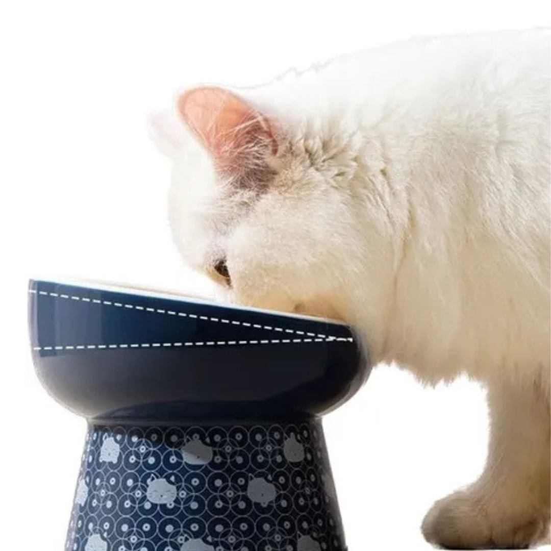 Comedero Ceramica Estampado Jap nes Para Mascotas Perros Gatos Azul-5