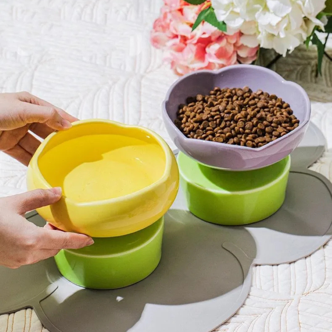 Plato De Ceramica Dise ado Flores Para Mascotas-2