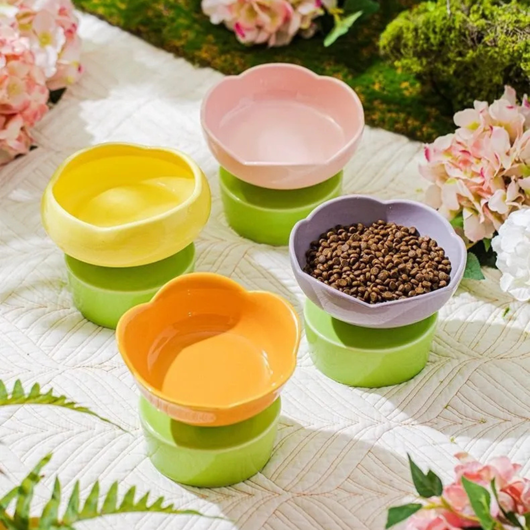 Plato De Ceramica Dise ado Flores Para Mascotas-3